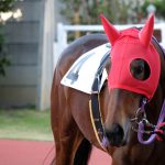 競馬の魅力を知ろう